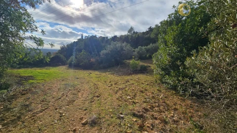 Terreno para Venda em Conceição e Estoi