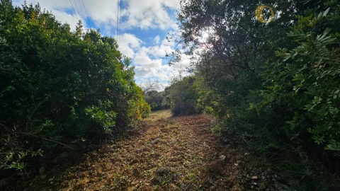 Terreno para Venda em Conceição e Estoi