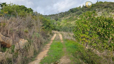Terreno para Venda em Conceição e Estoi