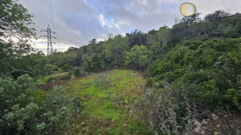Terreno para Venda em Conceição e Estoi