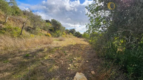 Terreno para Venda em Conceição e Estoi