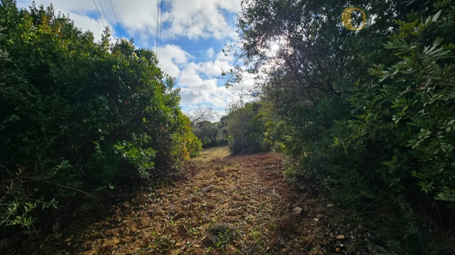 Terreno para Venda em Conceição e Estoi Foto 6