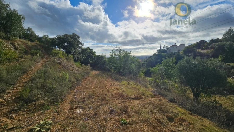 Terreno para Venda em Conceição e Estoi Foto 11