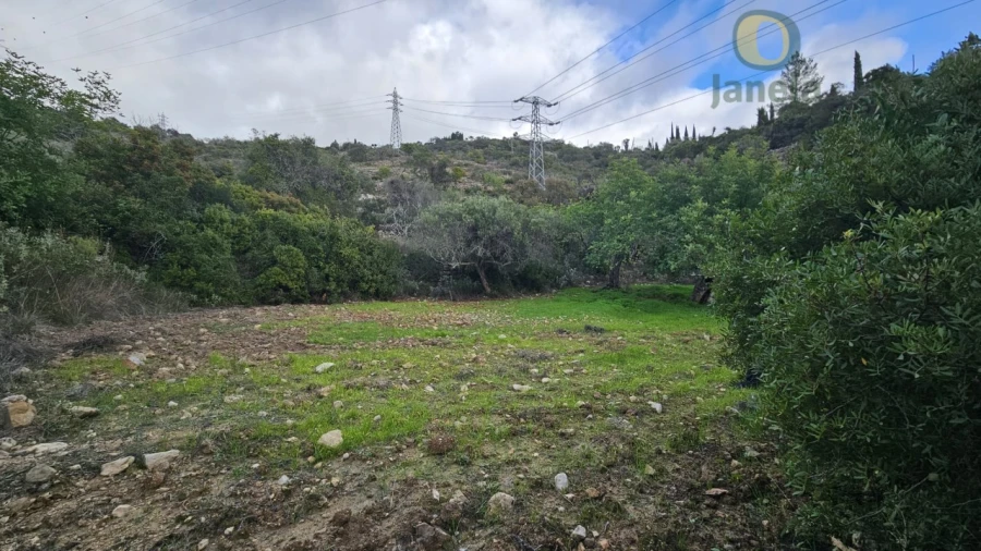 Terreno para Venda em Conceição e Estoi Foto 18