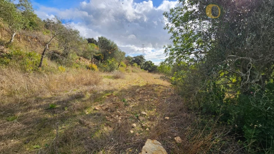 Terreno para Venda em Conceição e Estoi Foto 19