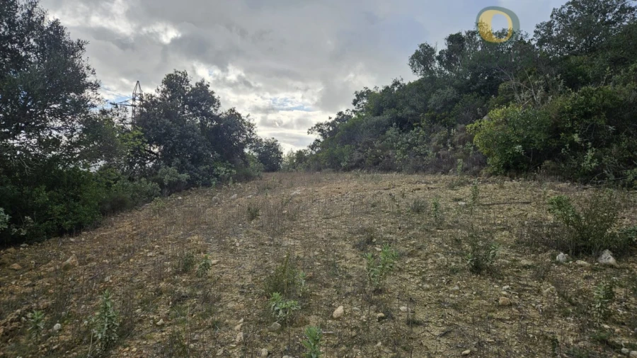Terreno para Venda em Conceição e Estoi Foto 20