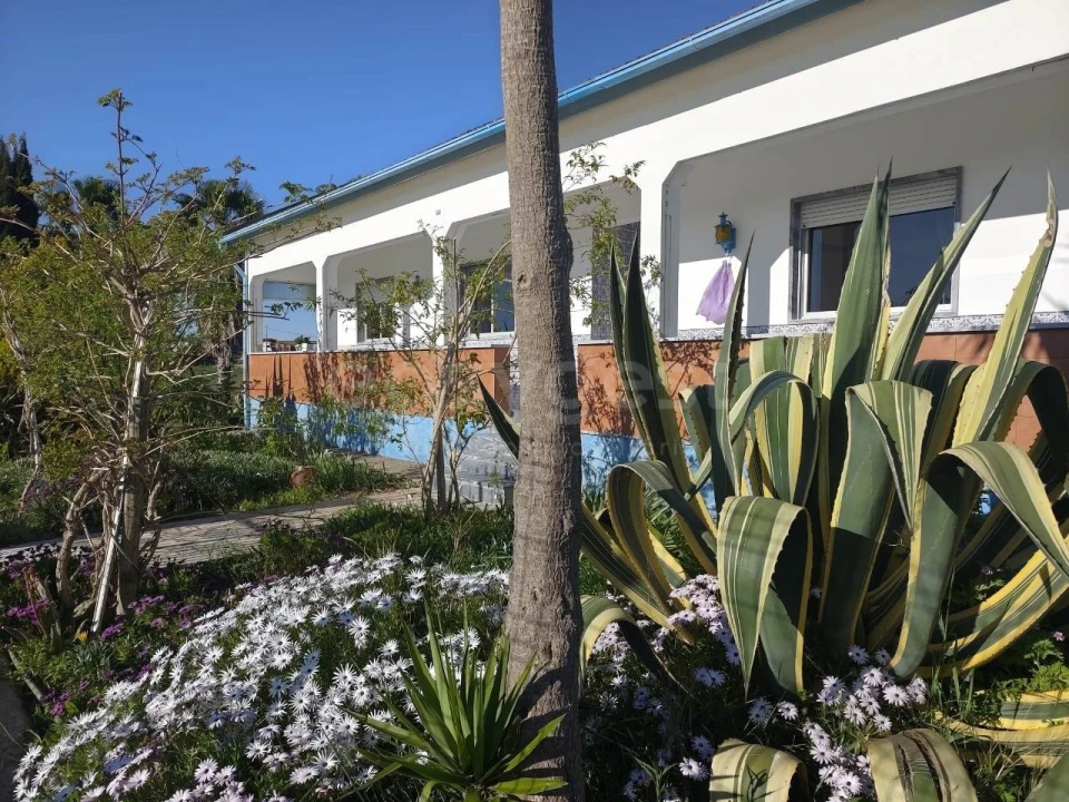 Quinta T3 para Venda em São João de Negrilhos Foto 4