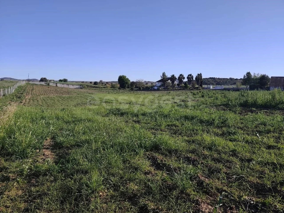 Quinta T3 para Venda em São João de Negrilhos Foto 9