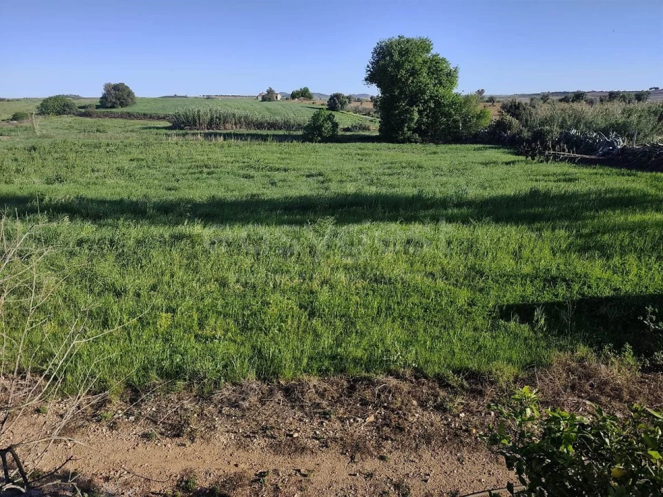 Quinta T3 para Venda em São João de Negrilhos Foto 11