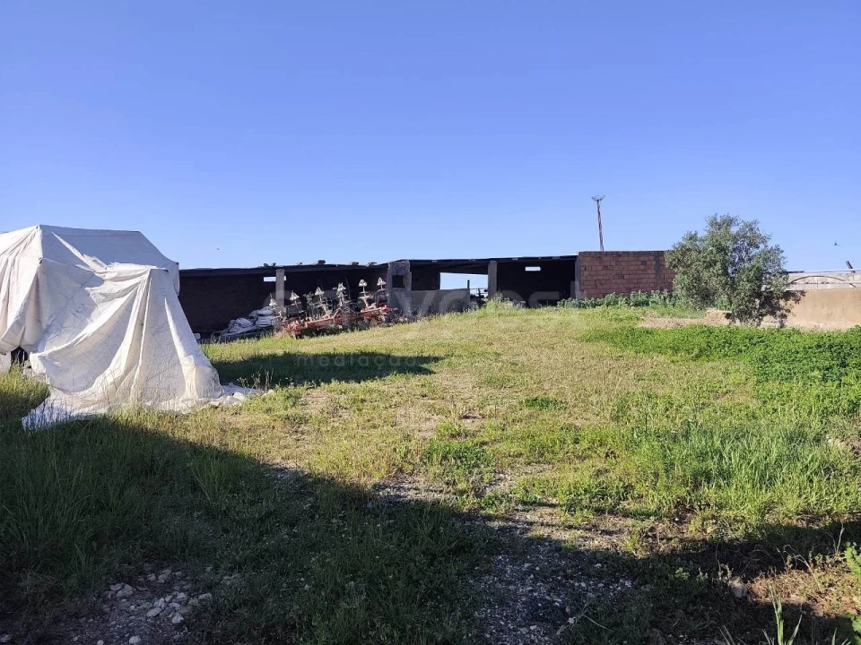 Quinta T3 para Venda em São João de Negrilhos Foto 35