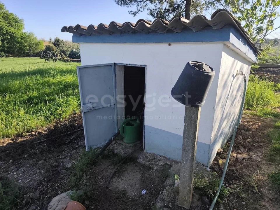 Quinta T3 para Venda em São João de Negrilhos Foto 38