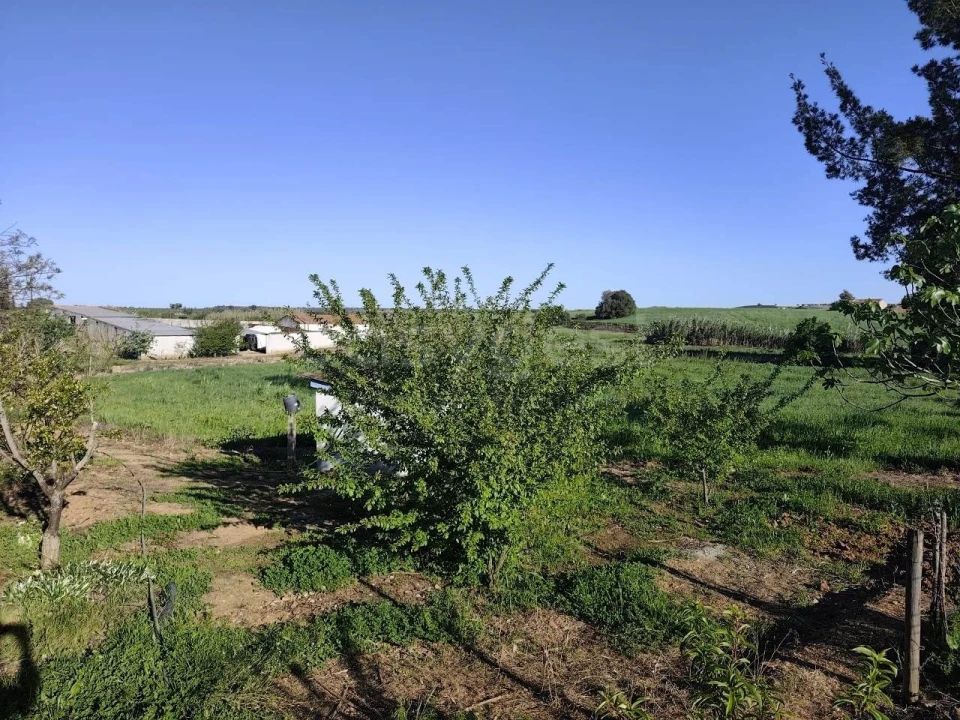 Quinta T3 para Venda em São João de Negrilhos Foto 39