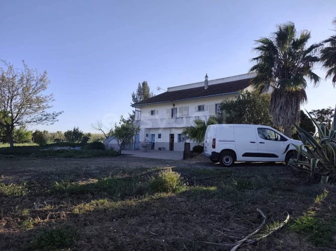 Quinta T3 para Venda em São João de Negrilhos Foto 2