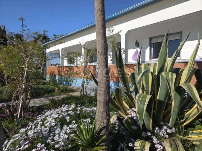 Quinta T3 para Venda em São João de Negrilhos Foto 4