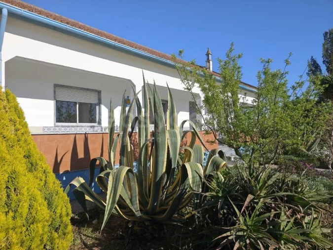 Quinta T3 para Venda em São João de Negrilhos Foto 5