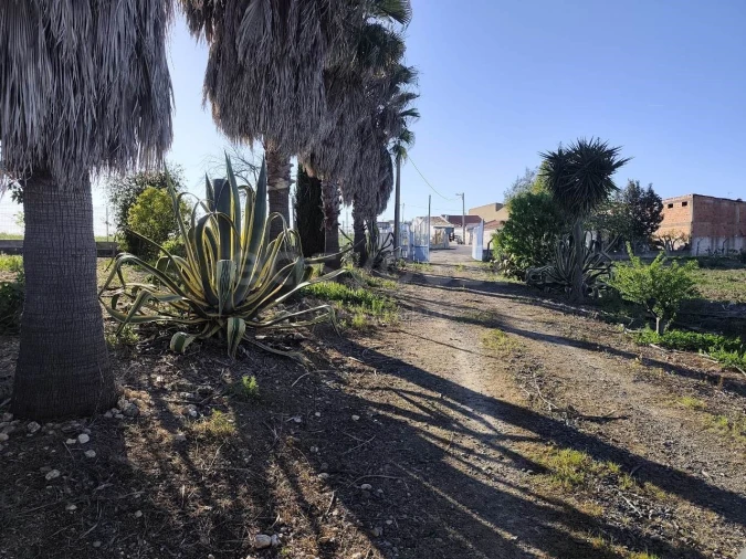 Quinta T3 para Venda em São João de Negrilhos Foto 10