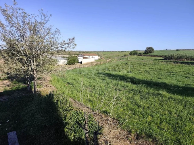 Quinta T3 para Venda em São João de Negrilhos Foto 34