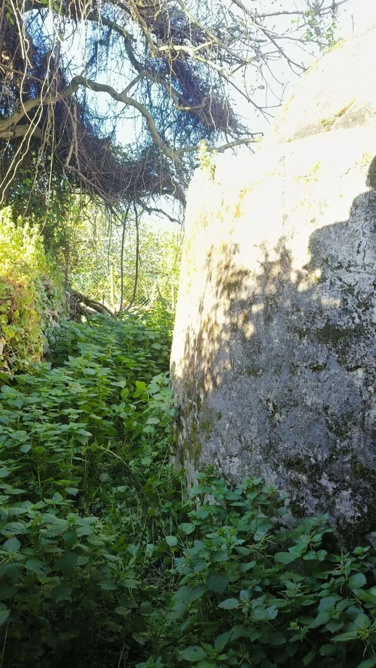 Moradia T2 para Venda em Aljubarrota Foto 4