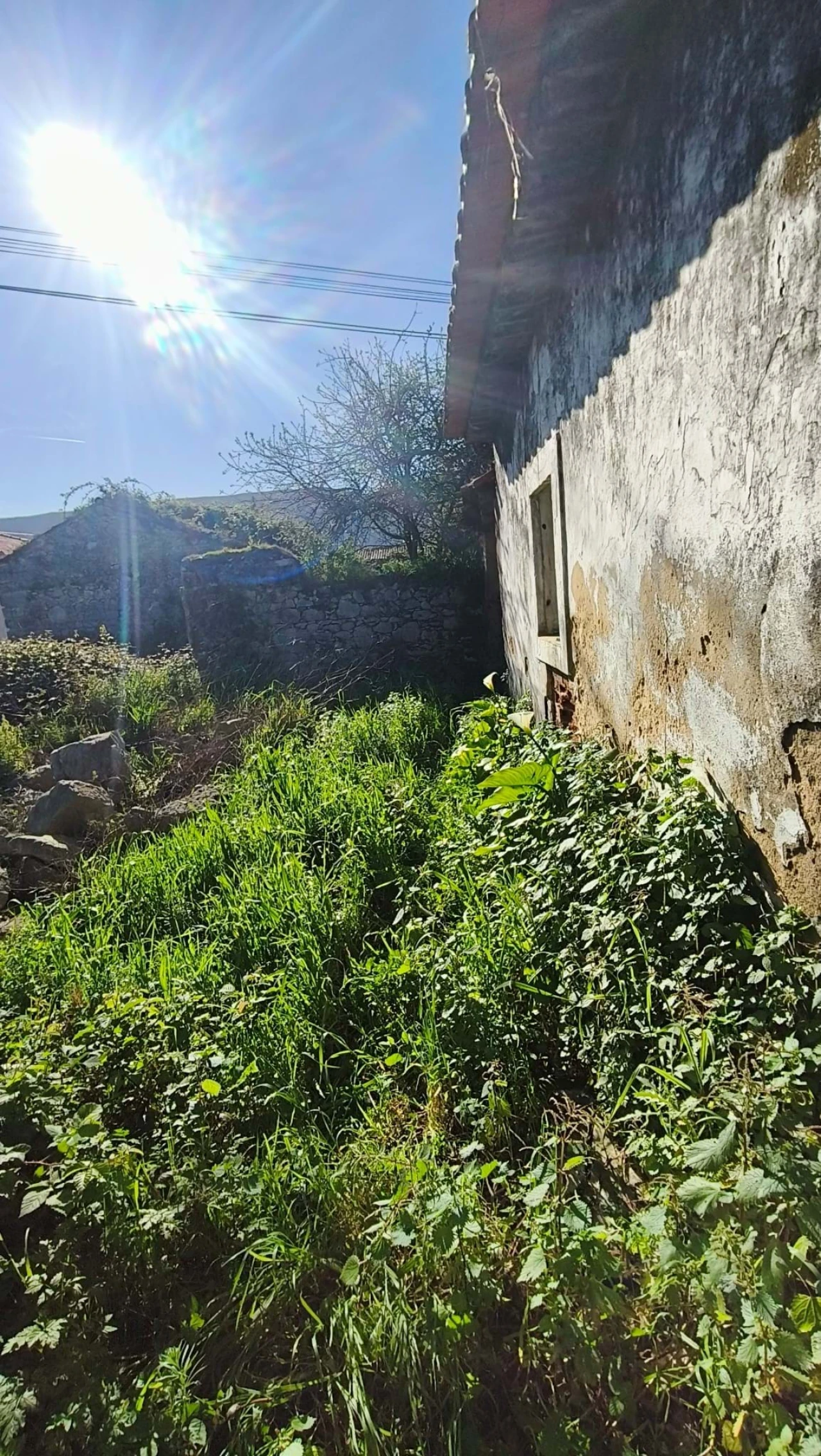 Moradia T2 para Venda em Aljubarrota Foto 41