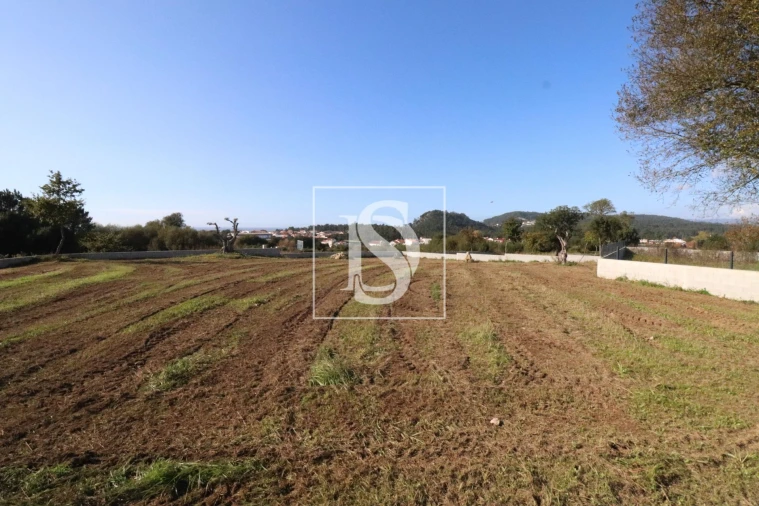 Terreno para Venda em Antas Foto 5