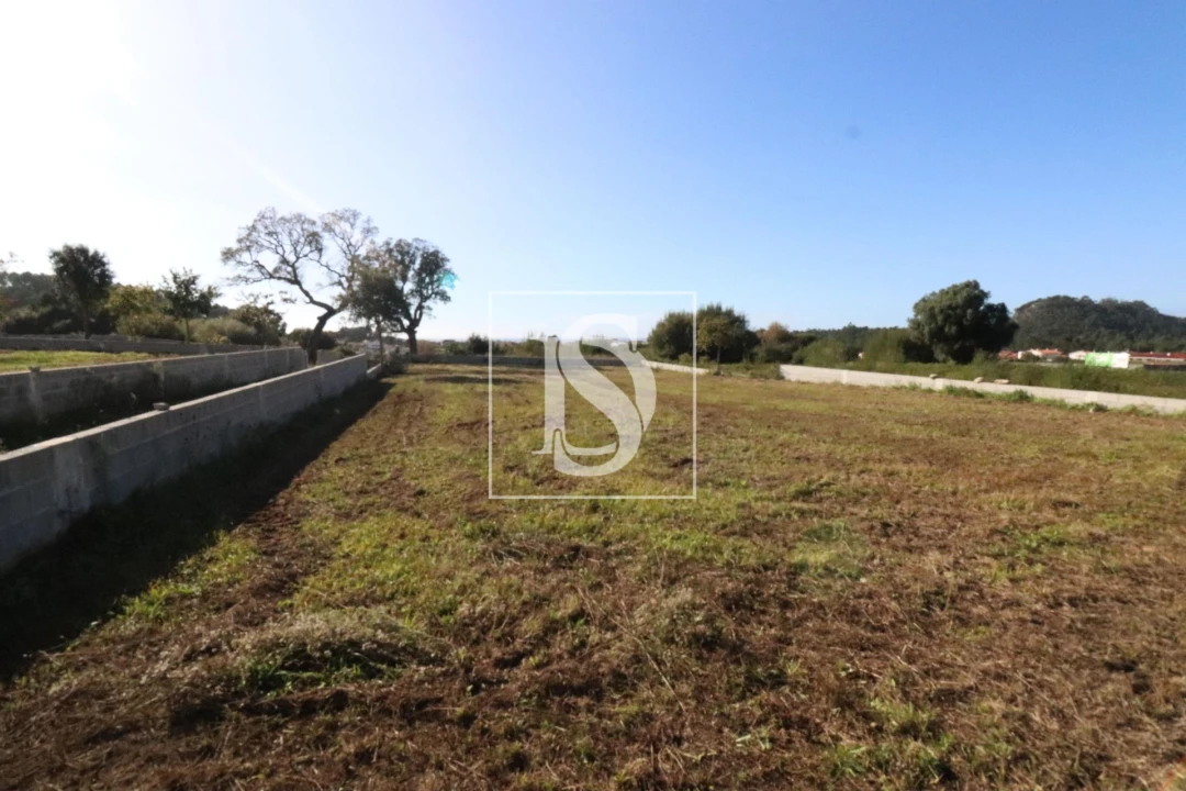 Terreno para Venda em Antas Foto 4