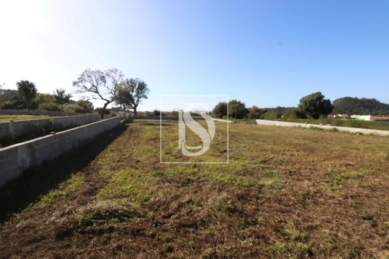 Terreno para Venda em Antas Foto 4