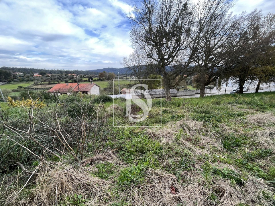 Terreno para Venda em Galegos (São Martinho) Foto 7
