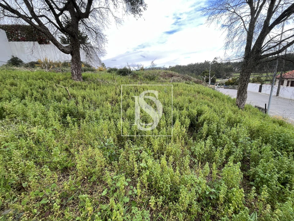 Terreno para Venda em Galegos (São Martinho) Foto 11