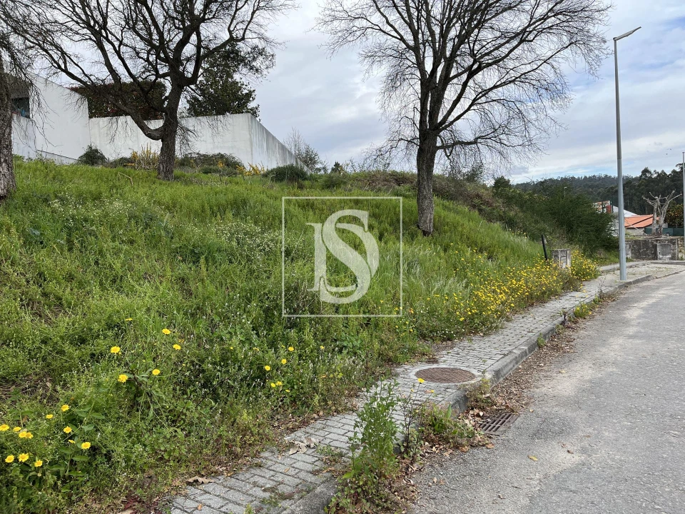 Terreno para Venda em Galegos (São Martinho) Foto 13