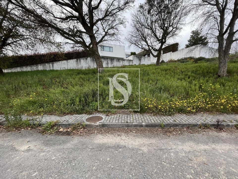 Terreno para Venda em Galegos (São Martinho) Foto 2