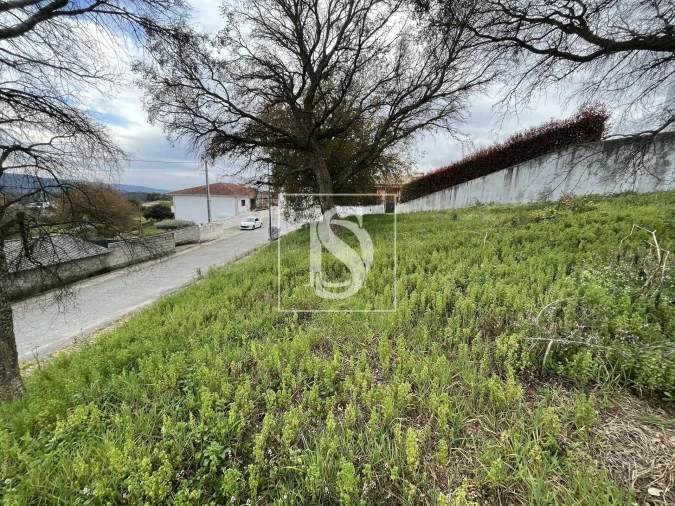 Terreno para Venda em Galegos (São Martinho) Foto 10
