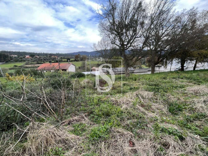 Terreno para Venda em Galegos (São Martinho) Foto 7