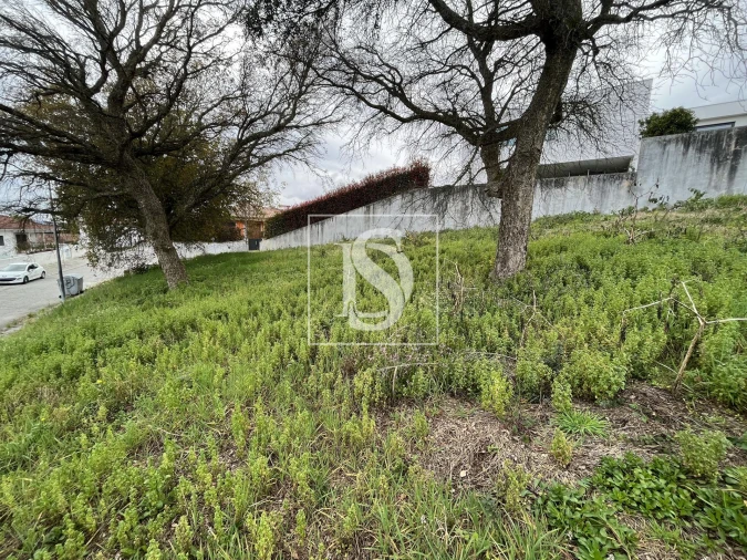 Terreno para Venda em Galegos (São Martinho) Foto 8