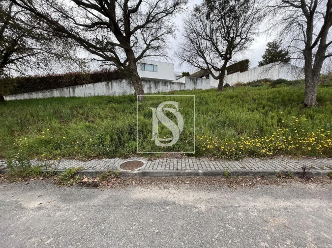 Terreno para Venda em Galegos (São Martinho) Foto 2