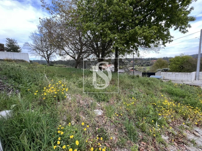 Terreno para Venda em Galegos (São Martinho) Foto 4
