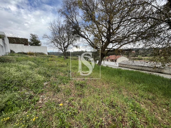 Terreno para Venda em Galegos (São Martinho) Foto 5