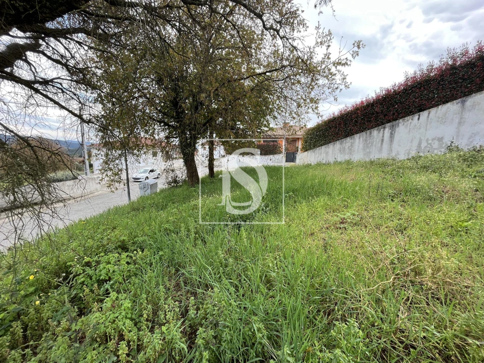 Terreno para Venda em Galegos (São Martinho) Foto 12