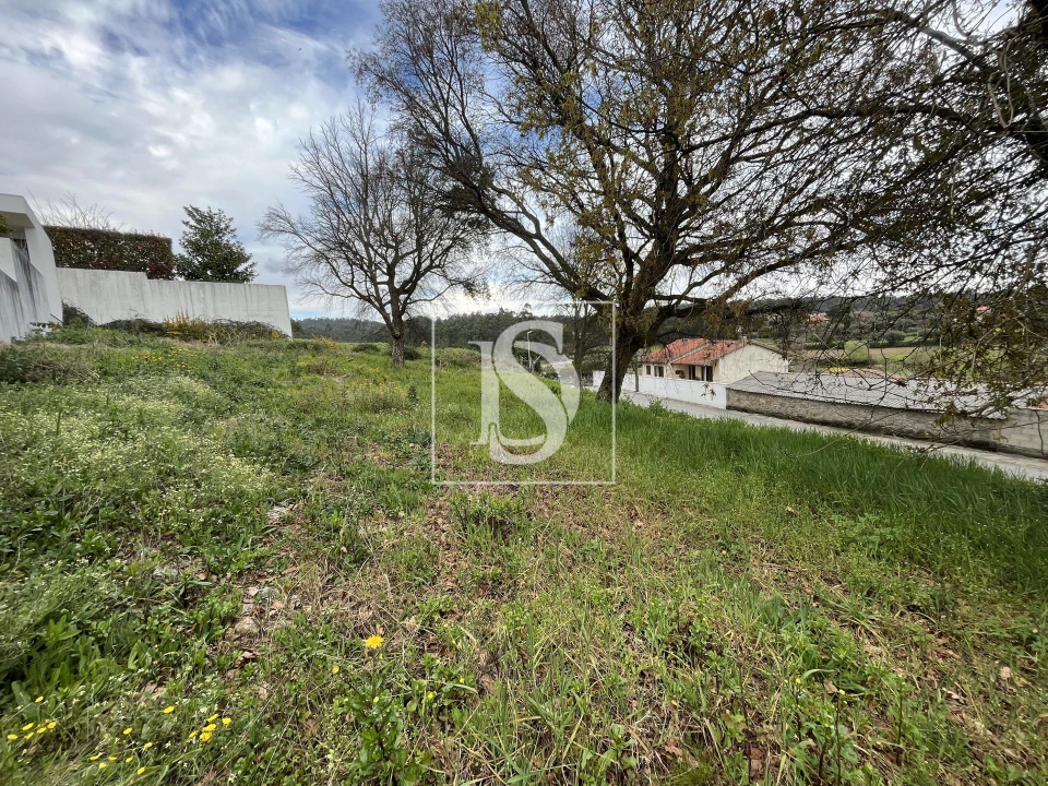 Terreno para Venda em Galegos (São Martinho) Foto 5