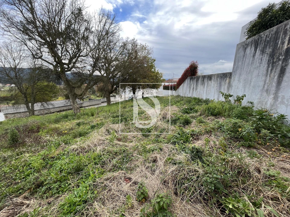 Terreno para Venda em Galegos (São Martinho) Foto 6
