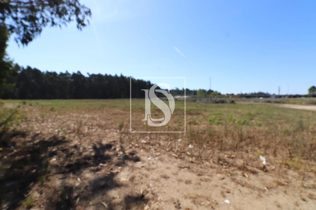 Terreno para Venda em Palmeira de Faro e Curvos Foto 2