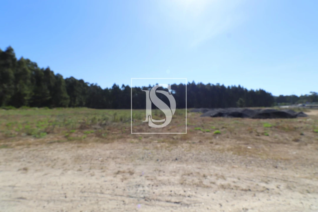 Terreno para Venda em Palmeira de Faro e Curvos Foto 4