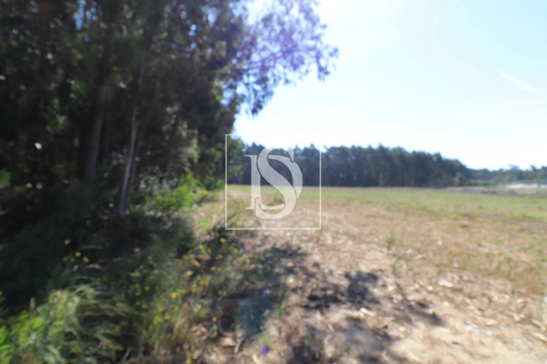 Terreno para Venda em Palmeira de Faro e Curvos Foto 3