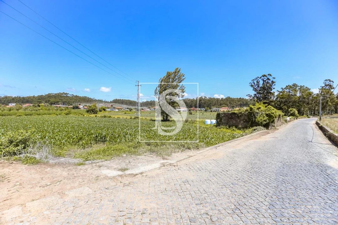 Moradia T2 para Venda em Cristelo Foto 29