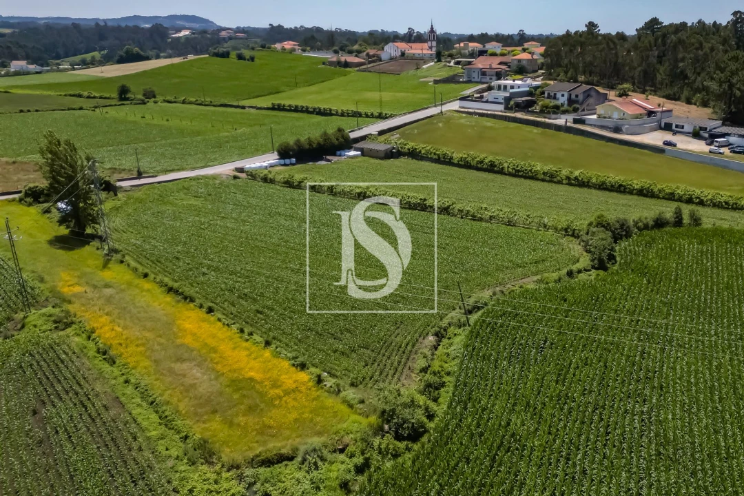 Moradia T2 para Venda em Cristelo Foto 26