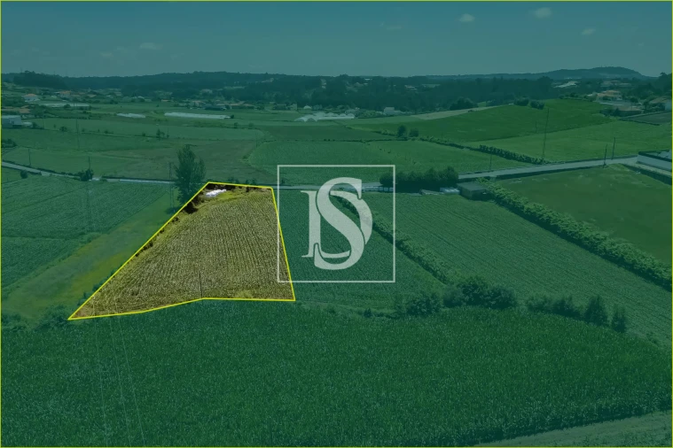 Moradia T2 para Venda em Cristelo Foto 3