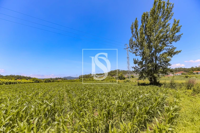 Moradia T2 para Venda em Cristelo Foto 10