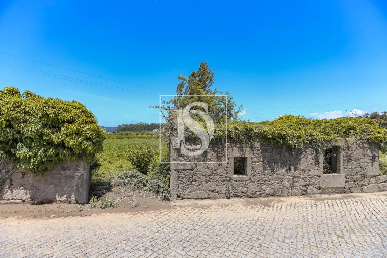 Moradia T2 para Venda em Cristelo Foto 4