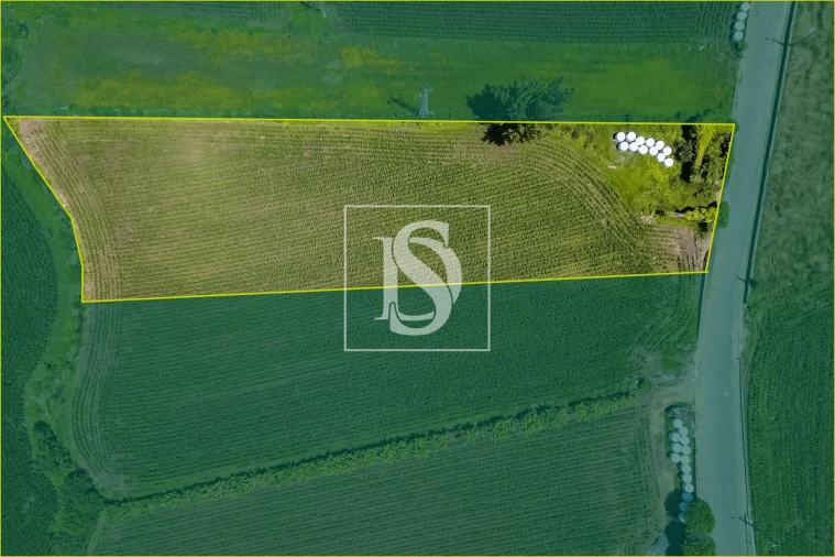 Moradia T2 para Venda em Cristelo Foto 2