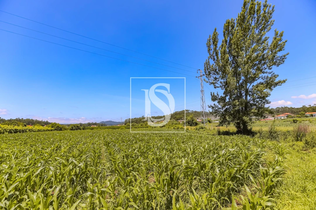 Moradia T2 para Venda em Cristelo Foto 10