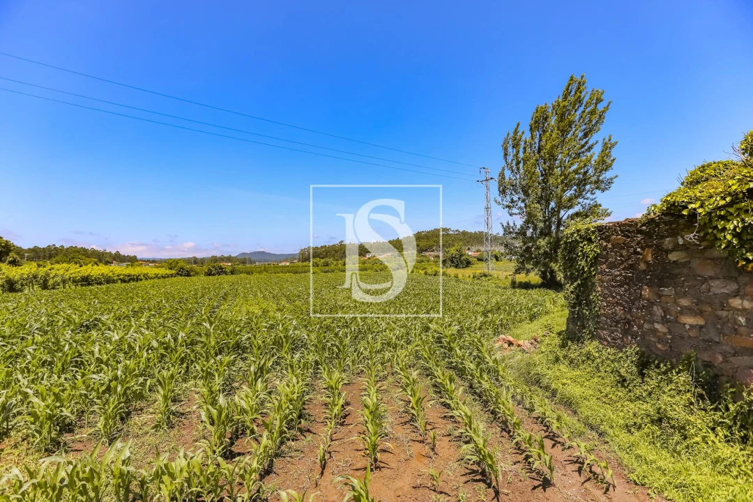 Moradia T2 para Venda em Cristelo Foto 7